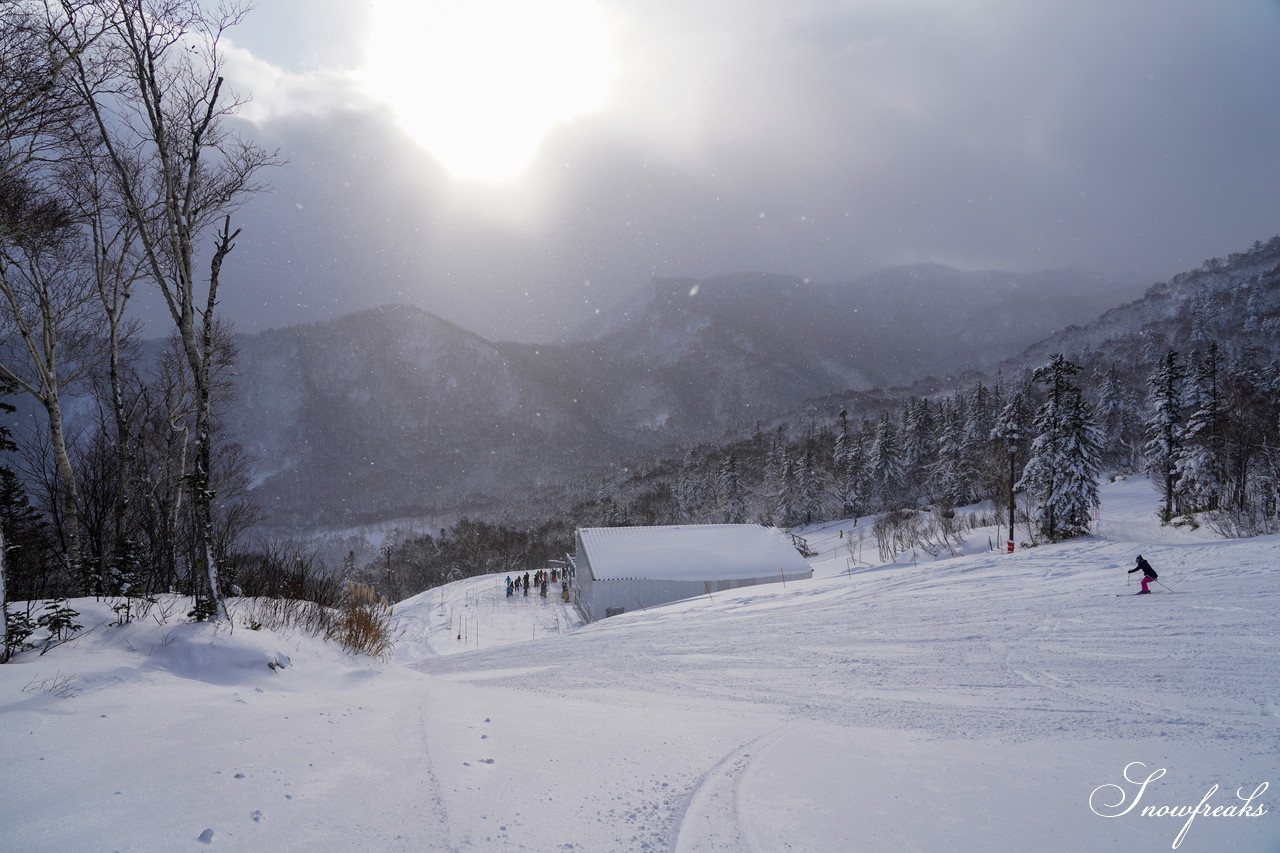 札幌国際スキー場 これぞ北海道。粉雪が降り積もったゲレンデはコンディション良好！そして、早くも全コース滑走可能です(*^^)v